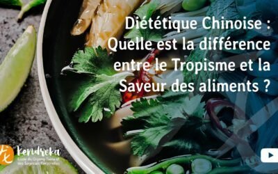 Diététique Chinoise : Quelle est la différence entre le Tropisme et la Saveur des aliments ?