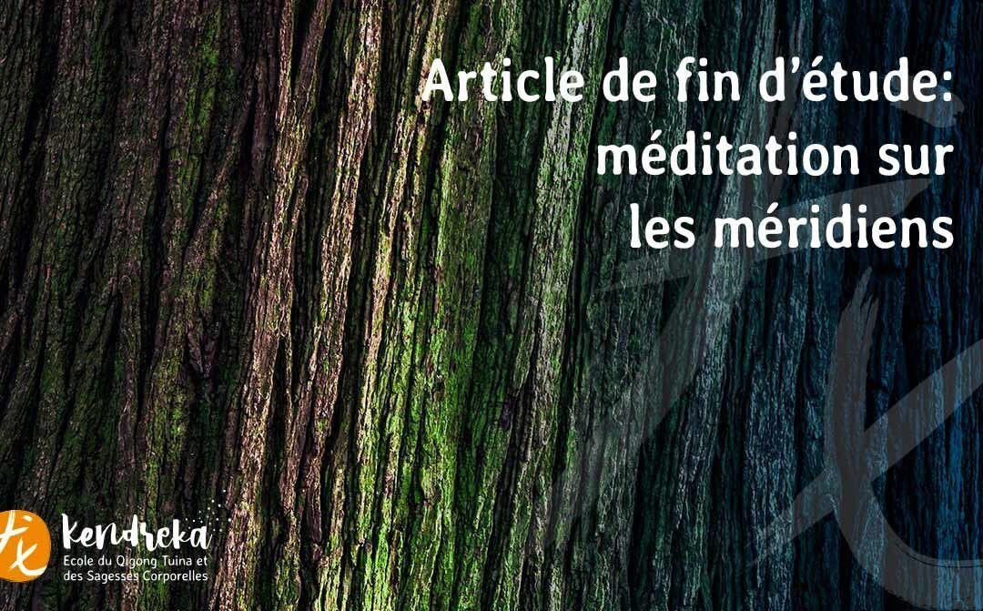 Pratiques de méditation sur les méridiens de Médecine Chinoise (MTC)